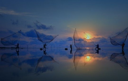 Kết quả thi ảnh quốc tế  “Green Planet - Hành tinh xanh 2025” tại Bangladesh