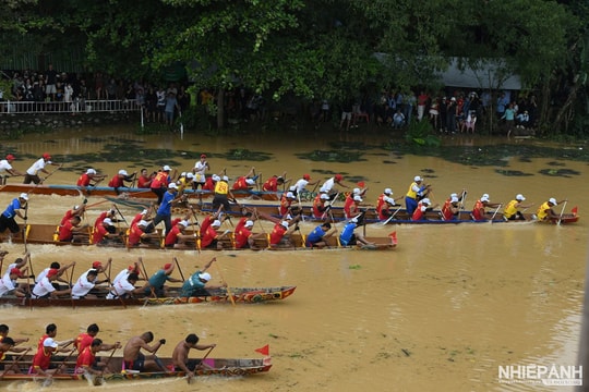 Sôi nổi lễ hội đua thuyền truyền thống trên sông Cẩm Lý
