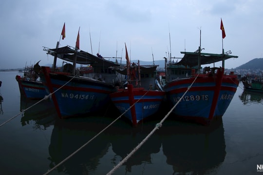 Lãnh đạo tỉnh Nghệ An 
kiểm tra, chỉ đạo công tác ứng phó bão số 10 tại cơ sở
