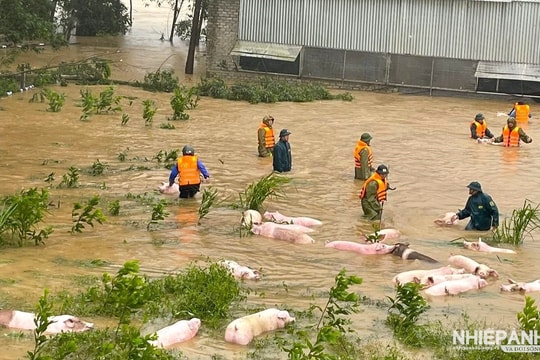 Ủy ban Mặt trận Tổ quốc Việt Nam tỉnh Nghệ An kêu gọi 
“Ủng hộ đồng bào bị thiệt hại do cơn bão Bualoi – bão số 10 gây ra”

