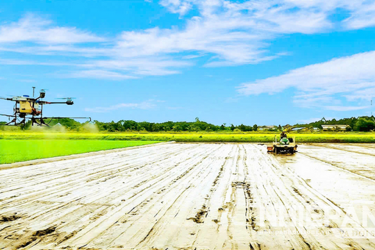 Đẩy mạnh cơ giới hóa trong sản xuất lúa chất lượng cao