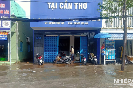 Triều cường tại Cần Thơ vượt báo động III