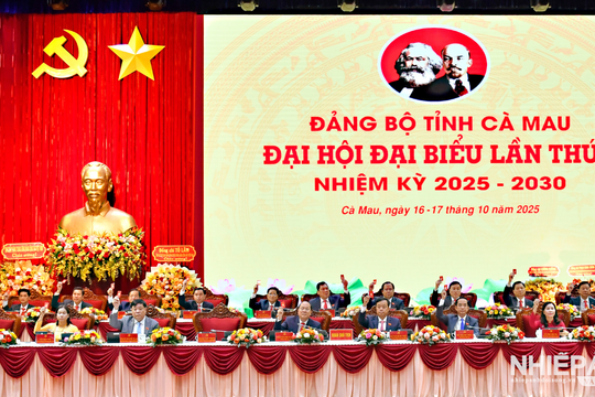Hình ảnh Đại hội đại biểu Đảng bộ tỉnh Cà Mau lần thứ I - 100% đại biểu dự Đại hội được trang bị máy tính bảng