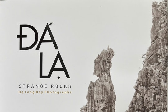 "Đá lạ" – Khi những khối đá biết kể chuyện