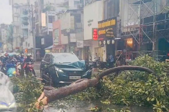 TP.HCM sẵn sàng ứng phó bão số 13
