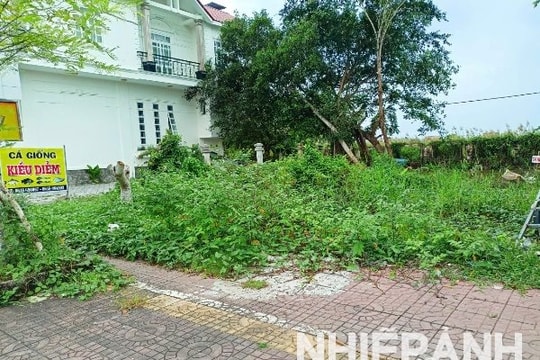 Cà Mau: Cần xử lý nghiêm việc tự ý đào ao nuôi cá trên đất công