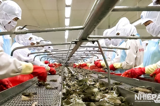 Cà Mau: Triển khai quyết liệt hai mũi nhọn kinh tế trọng tâm