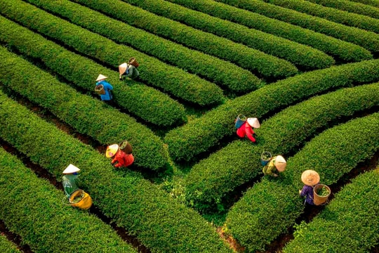 Khai mạc Triển lãm ảnh “Phụ nữ trong cuộc sống”: Tôn vinh nét đẹp của phụ nữ Việt Nam