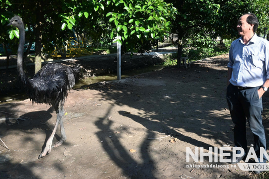 Cần Thơ: Làng du lịch Ông Đề trưng bày thú quý hiếm phục vụ khách du lịch