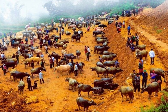 Kết quả thi ảnh quốc tế “Blue Line - Đường màu xanh 2025” tại Serbia