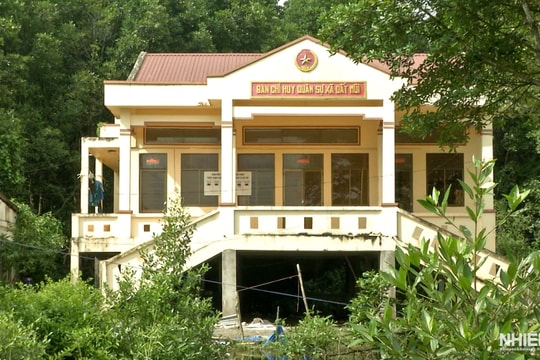 Nhà thích ứng biến đổi khí hậu nơi miệt rừng Cà Mau