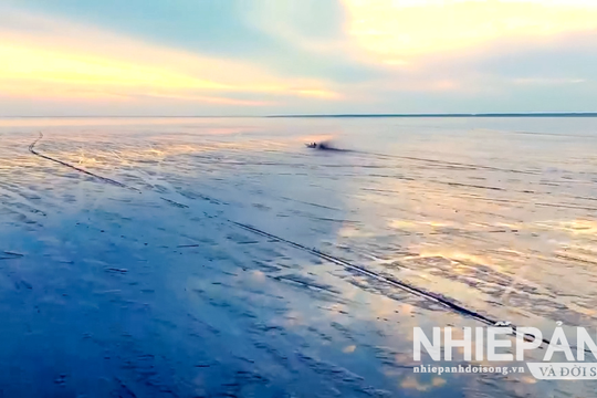 Một thoáng bãi bồi Mũi Cà Mau