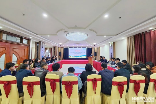 Quảng trị tổ chức tập huấn nâng cao năng lực tư vấn học đường