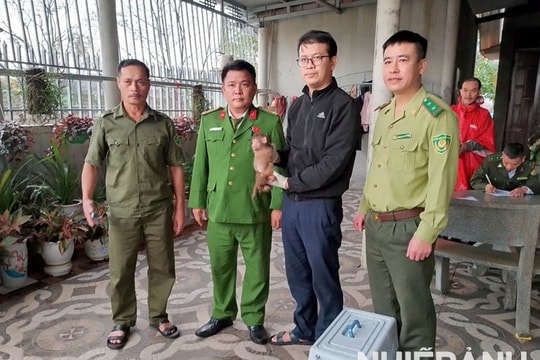  Vườn quốc gia Phong Nha – Kẻ Bàng cứu hộ hai cá thế khỉ quý hiếm
