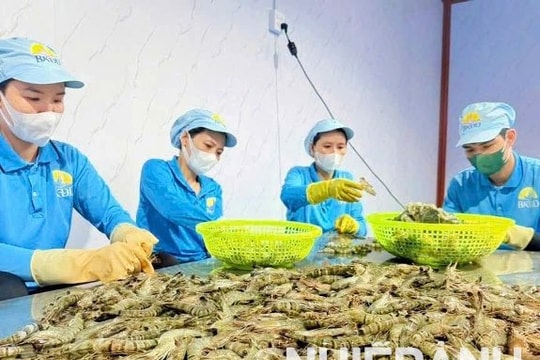 Cà Mau: Quảng bá, tiêu thụ sản phẩm OCOP  qua nền tảng số