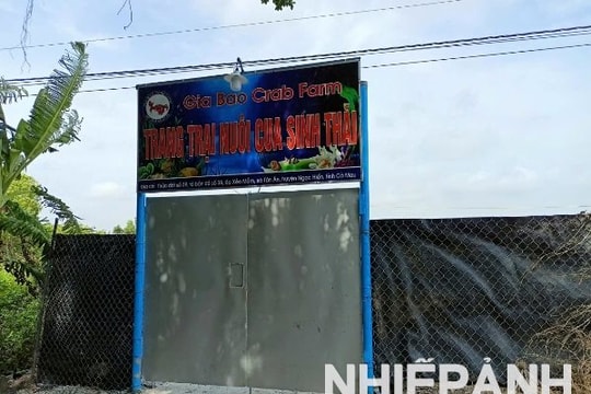 Cà Mau: Phát triển sản phẩm OCOP từ cua biển