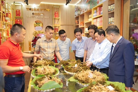 Gìn giữ dược liệu quốc gia