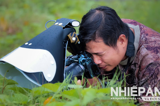 Những khoảnh khắc nhỏ bé đầy cảm xúc