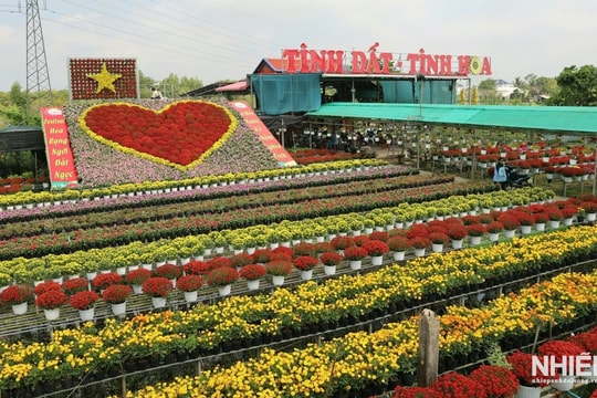 Khai mạc Festival Hoa – Kiểng Sa Đéc lần thứ II năm 2025