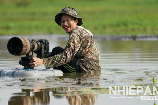 Chim hoang dã ở đồng bằng sông Cửu Long