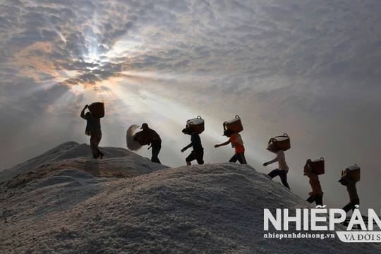 Bạc Liêu: Những mùa muối lặng thầm dưới nắng gió miền biển