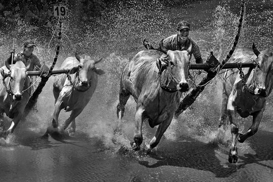 Kết quả thi ảnh quốc tế “Baku 2025” tại Azerbaijan