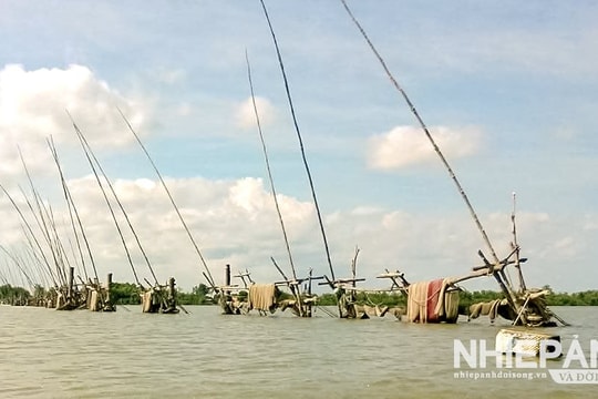 Nghề “hạ bạc”