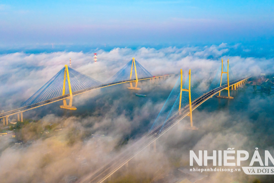 Hai cây cầu, một dòng chảy