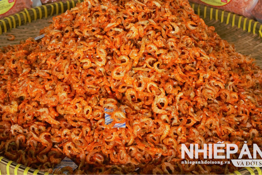 Xã Phan Ngọc Hiển: Vào vụ tôm khô phục vụ Tết