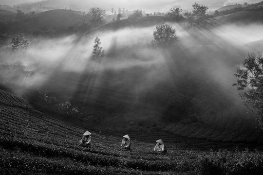 Kết quả thi ảnh quốc tế “PCA Club 2025” tại Serbia