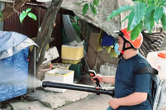 TP.HCM: Sốt xuất huyết và tay chân miệng giảm