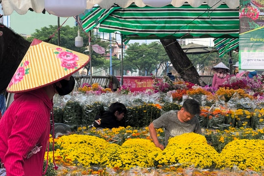 Chợ hoa Tết Bình Đông – Xuân Bính Ngọ 2026: Không gian văn hóa rực rỡ giữa lòng đô thị