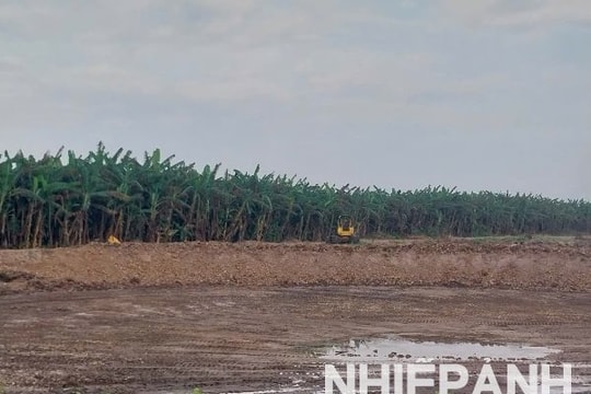 Cà Mau: Bị xã “tuýt còi” vì tự ý đào ao nghi nuôi tôm công nghiệp