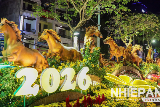 Cần Thơ: Khai mạc đường hoa nghệ thuật Xuân Bính Ngọ năm 2026