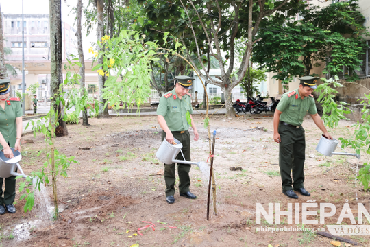 Cần Thơ: Phát động “Tết trồng cây đời đời nhớ ơn Bác Hồ”
