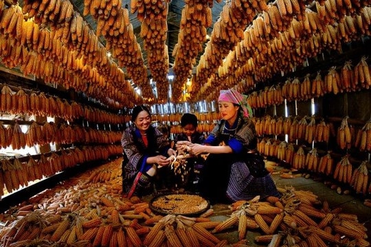 Kết quả thi ảnh quốc tế “Adriatic 2026” tại Serbia