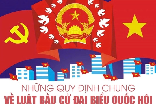 Người đang chấp hành hình phạt tù có được ghi tên vào danh sách cử tri?