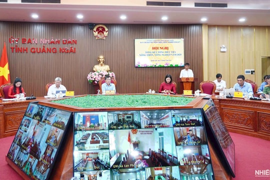 Quảng Ngãi: Gần 239.500 hộ dân hoạt động trong lĩnh vực nông, lâm nghiệp và thủy sản