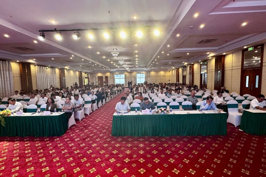 Cập nhật pháp luật thuế cho luật sư Đồng bằng sông Cửu Long