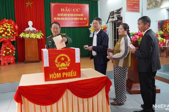 Quảng Trị: Tỷ lệ cử tri đi bầu đạt 99,77% vào 19 giờ ngày 15/3