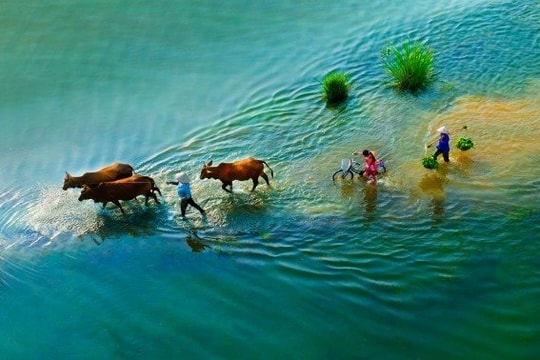 Phát động cuộc thi ảnh “Nông thôn Việt Nam 40 năm Đổi mới”