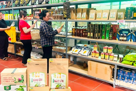 Đồng bằng sông Cửu Long đứng thứ 2 cả nước về số lượng sản phẩm OCOP 