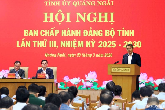 Tỉnh ủy Quảng Ngãi: Thông qua 4 nghị quyết chuyên đề quan trọng, có ý nghĩa chiến lược