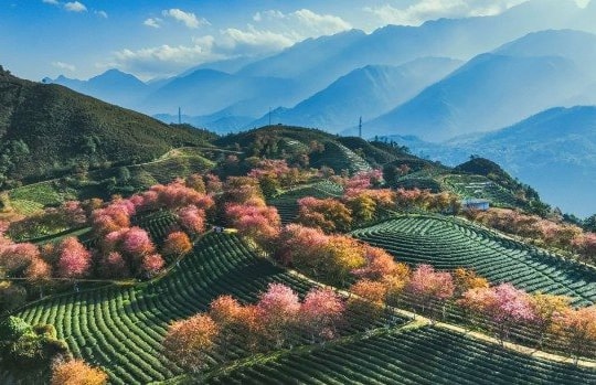 Kết quả thi ảnh quốc tế “PCA Salon 2026” tại Serbia