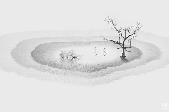 Không gian ý niệm trong nhiếp ảnh của NSNA Đặng Quang Vinh