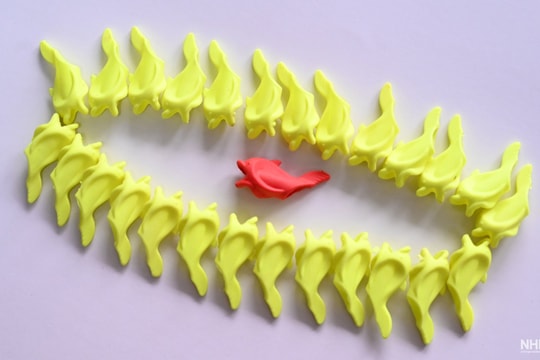 Kế thừa đề tài trong nhiếp ảnh nền tảng của sáng tạo nghệ thuật