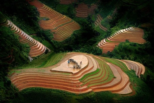 Phát động cuộc thi ảnh “Nông thôn Việt Nam 40 năm Đổi mới”