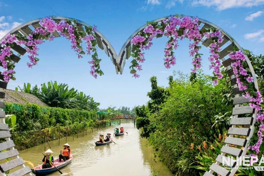 Nhịp sống miệt vườn giữa lòng thành phố Cần Thơ