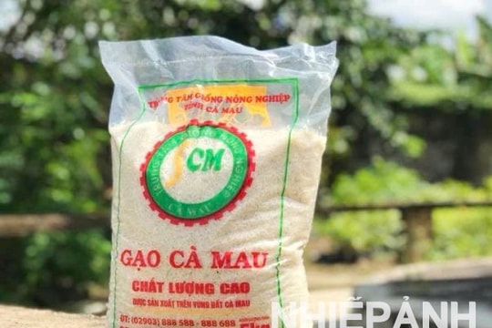 Cuộc thi “Gạo ngon vùng Đồng bằng sông Cửu Long” có gì hấp dẫn?