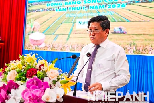 Cà Mau: Lần đầu tổ chức cuộc thi gạo ngon ĐBSCL